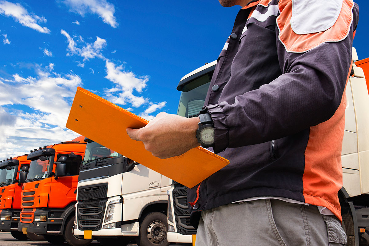 Consectetuer elit sed diam adipiscing